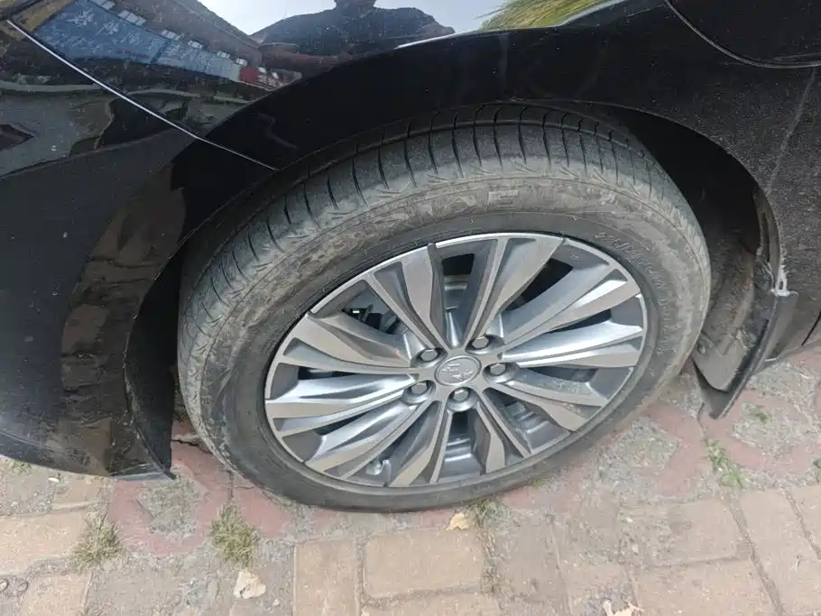 Hongqi E-QM5 2025 2024 Model 610km PLUS