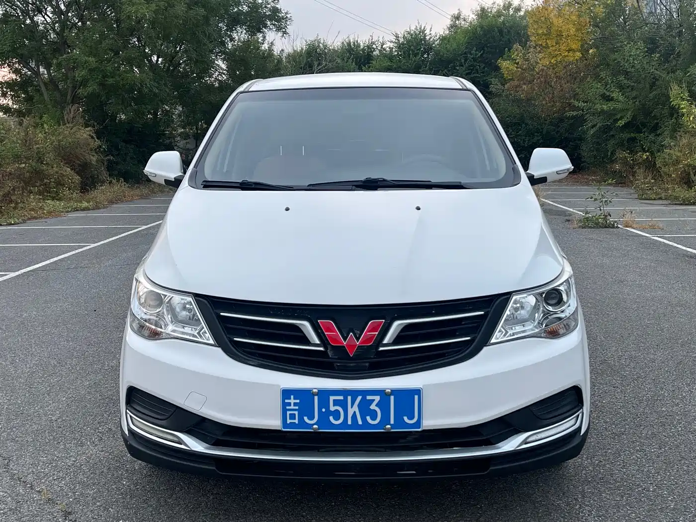 Wuling Motors Wuling 730 2020 2020 Commercial Vehicle 1.5L Manual Premium Edition 7-Seater
