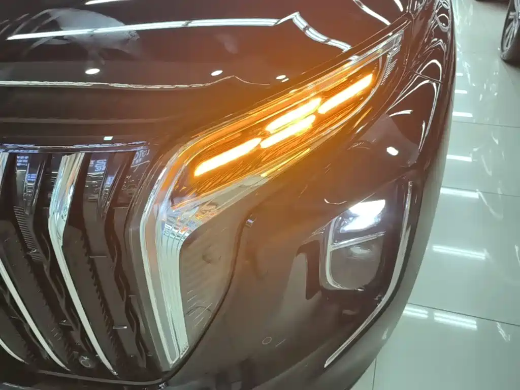 Photo 24 - Hongqi HS7 PHEV