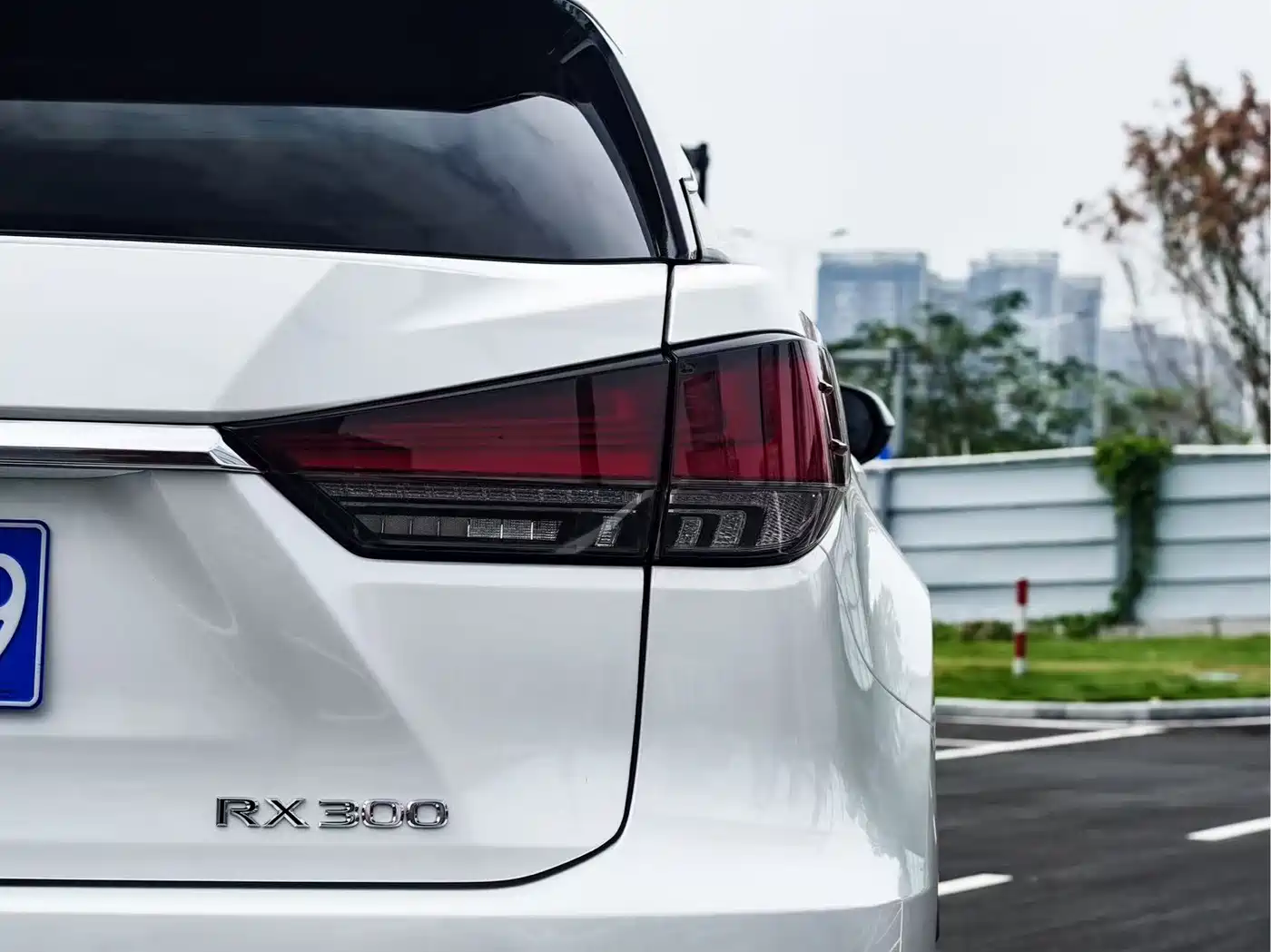 Lexus RX 2020 300 4WD Elegance Edition China VI фото 6