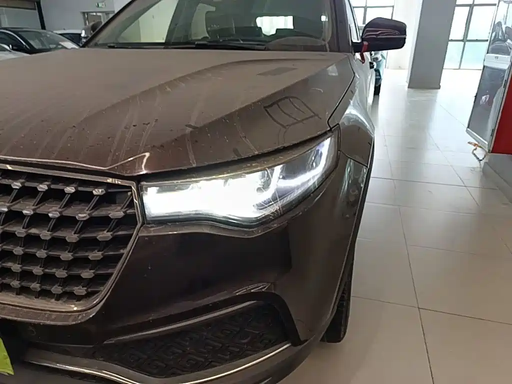 Фото 24 - Zotye T700