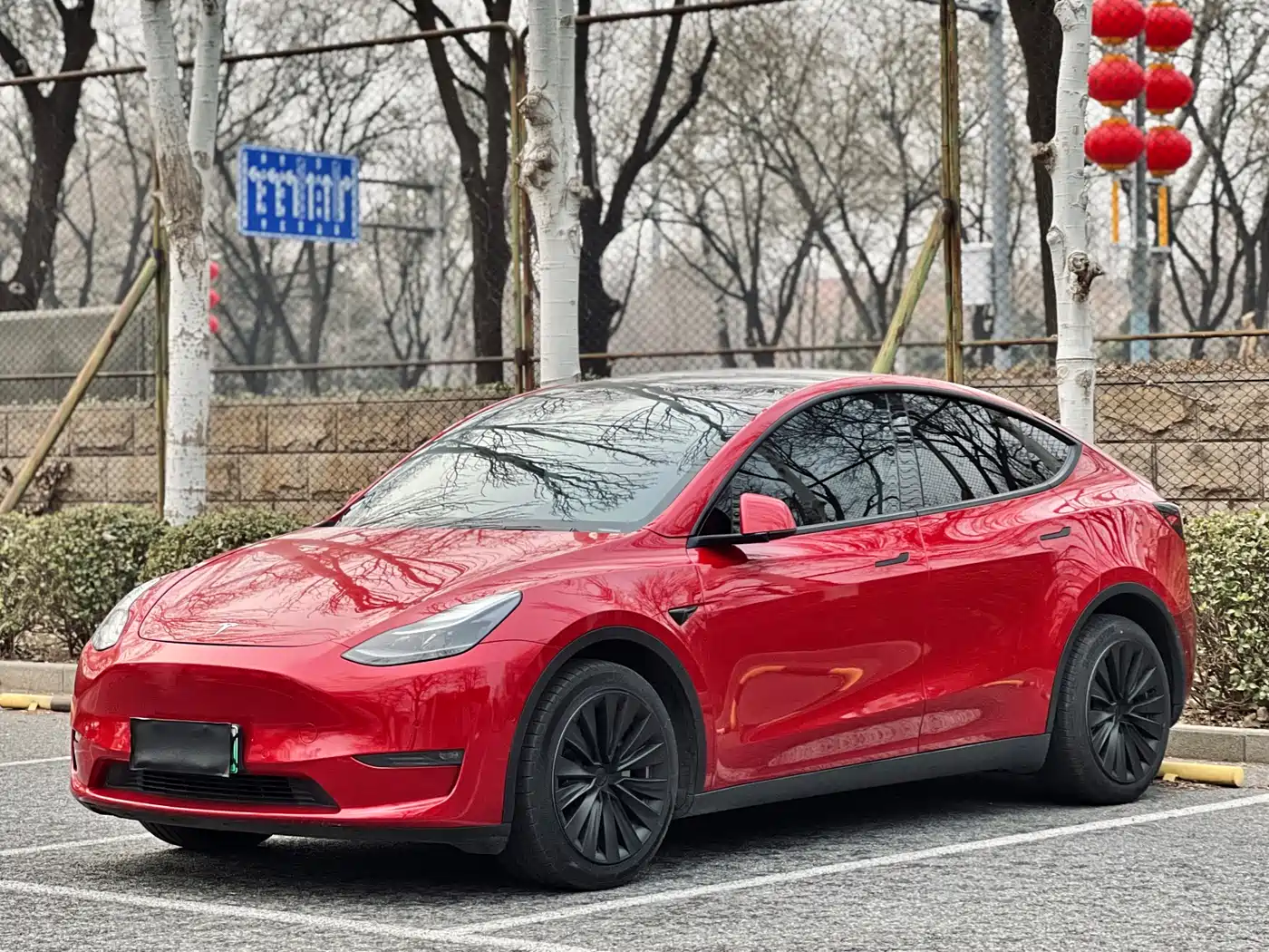 TESLA MODEL Y