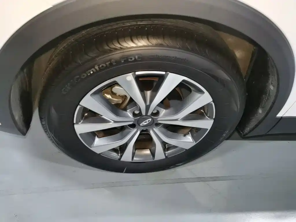 Chery Tiggo 7 2024 2024 1.5T CVT Premium Edition
