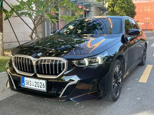 BMW 5 530Li, Лидер, M Спорт-пакет