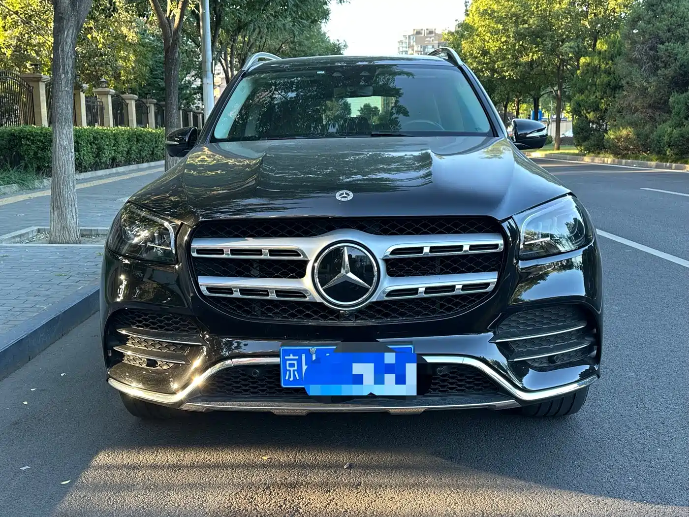 Фото 2 - Mercedes-Benz GLS
