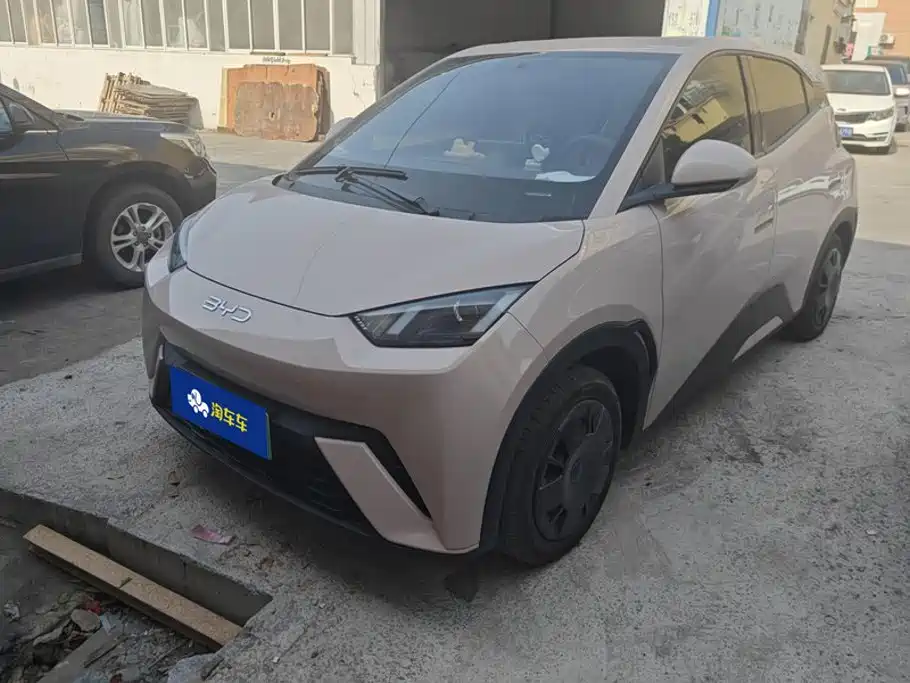 BYD Seagull 2025 — пригон из Китая