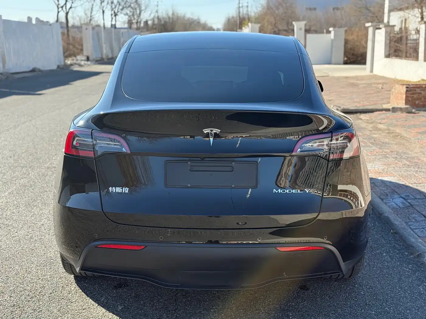 TESLA MODEL Y