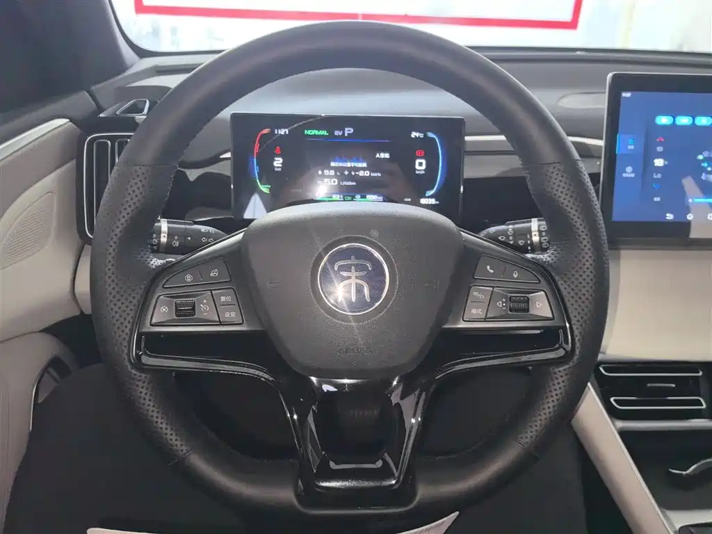 BYD Song Pro New Energy 2023 Champion Edition DM-i 71KM Pilot Model фото 7