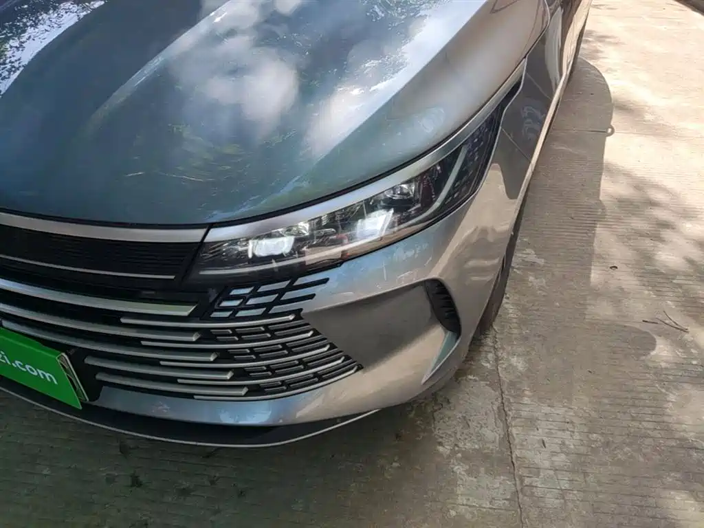 BYD Destroyer 05 2024 Glory Edition DM-i 55KM Luxury фото 24