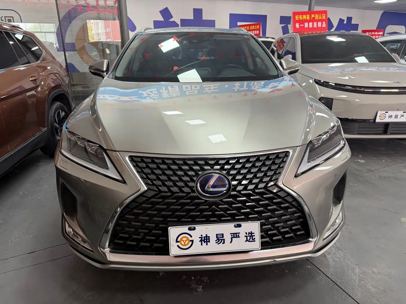 Lexus RX 2020 450h AWD Elegance Edition China V фото 3