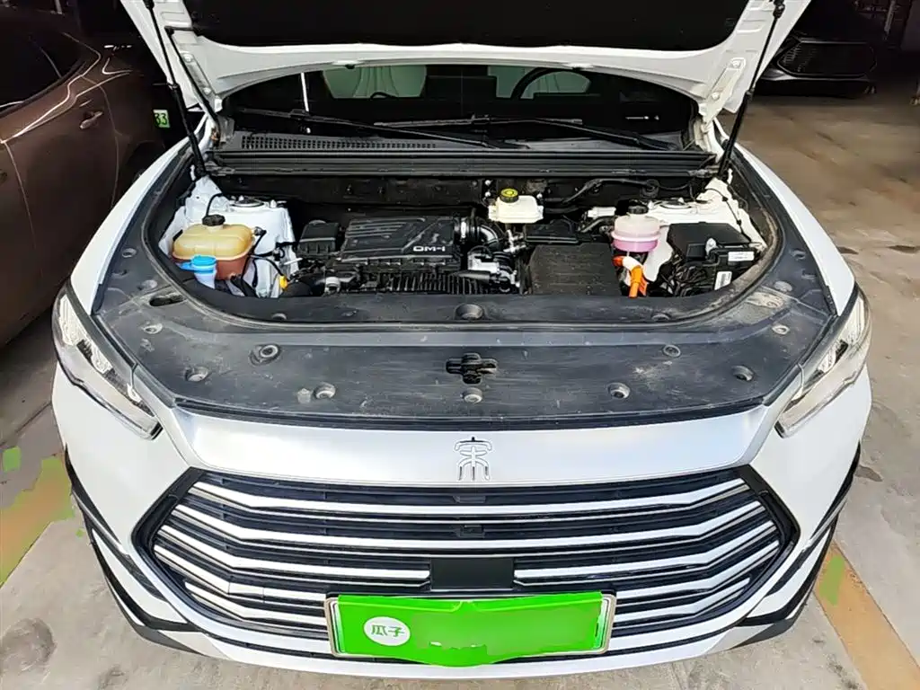 BYD SONGJIANG NEW ENERGY