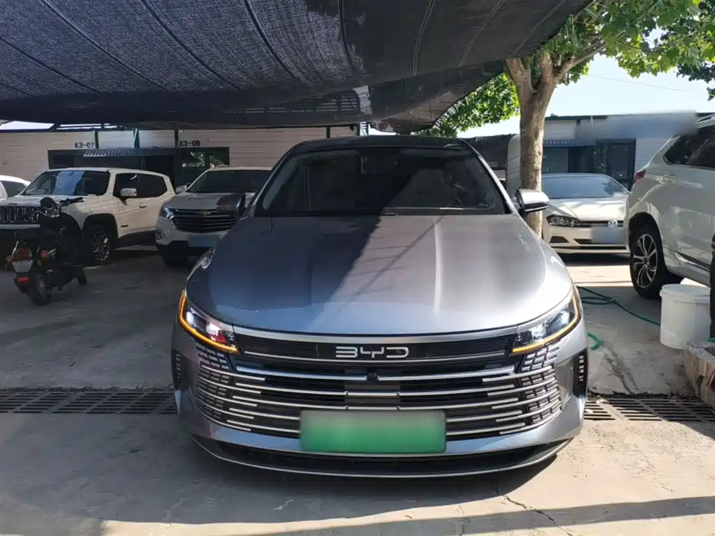 BYD Destroyer 05 2024 Glory Edition DM-i 55KM Luxury фото 3