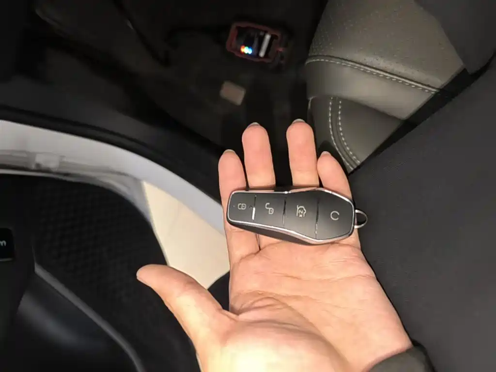BYD Qin PLUS 2025 DM-i Smart Drive 55KM Leader фото 9