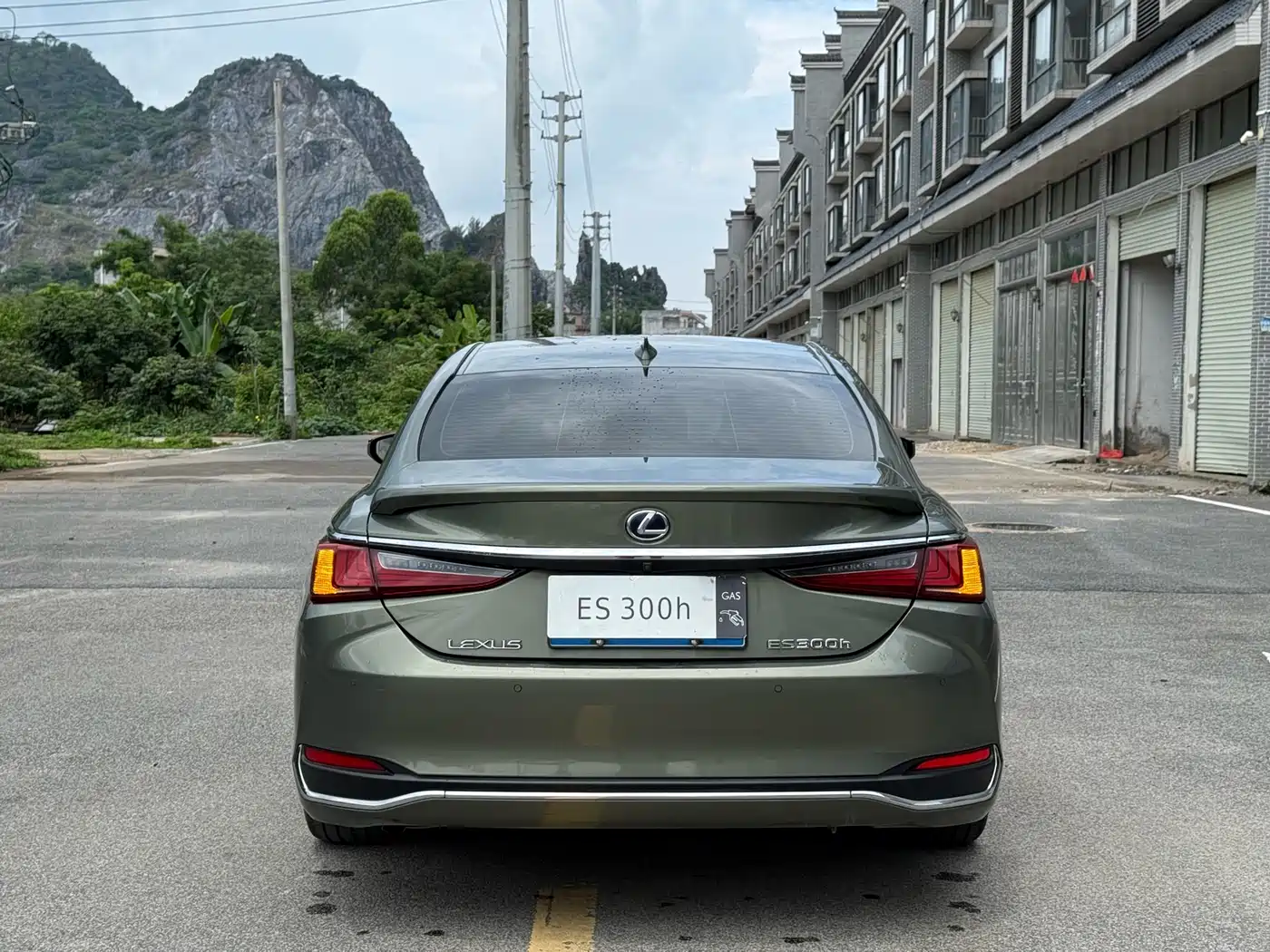 Lexus ES 2018 300h Executive Edition China V фото 8