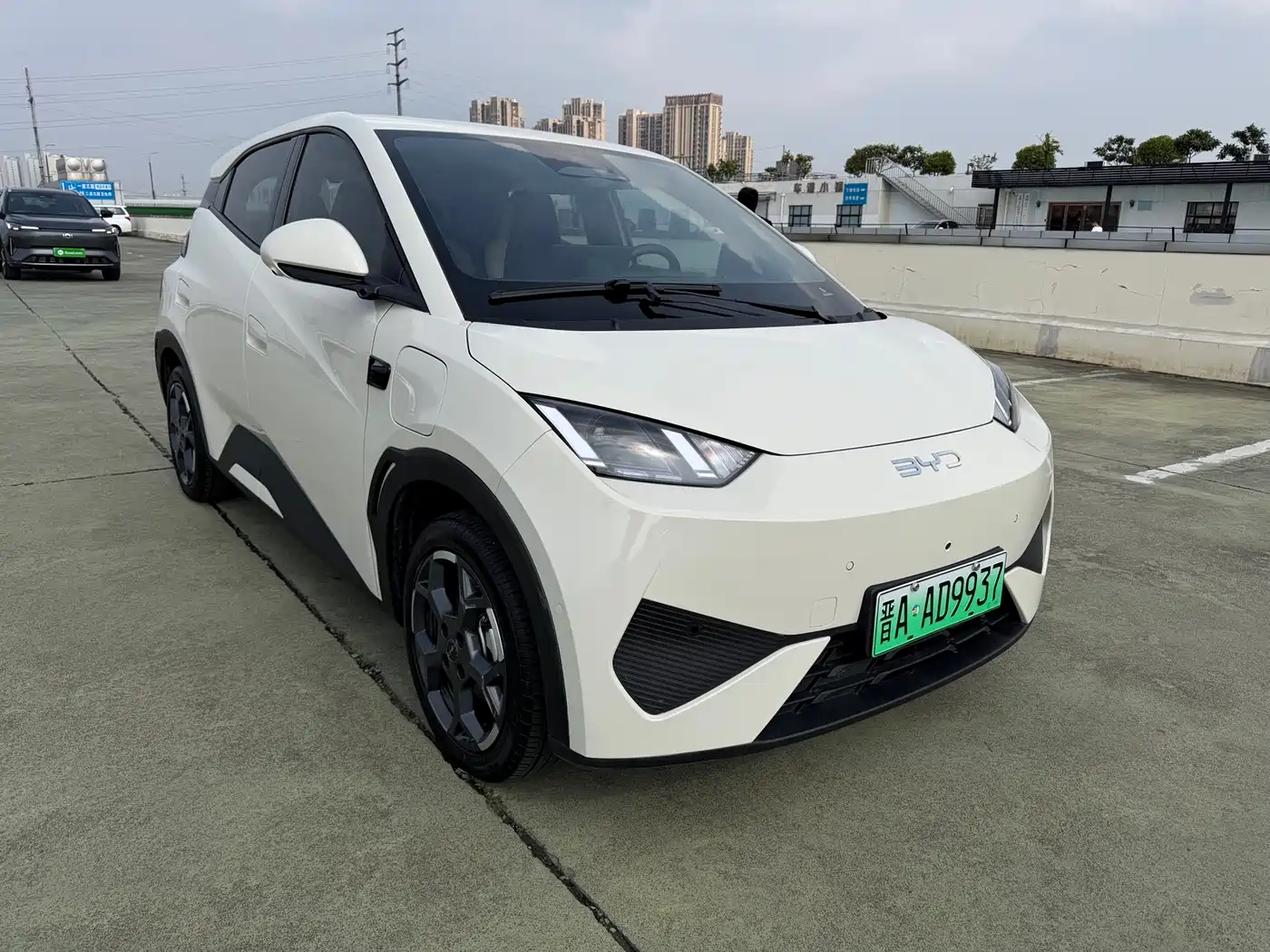 BYD Seagull 2025 Smart Drive Edition 305km Freedom Version фото 3