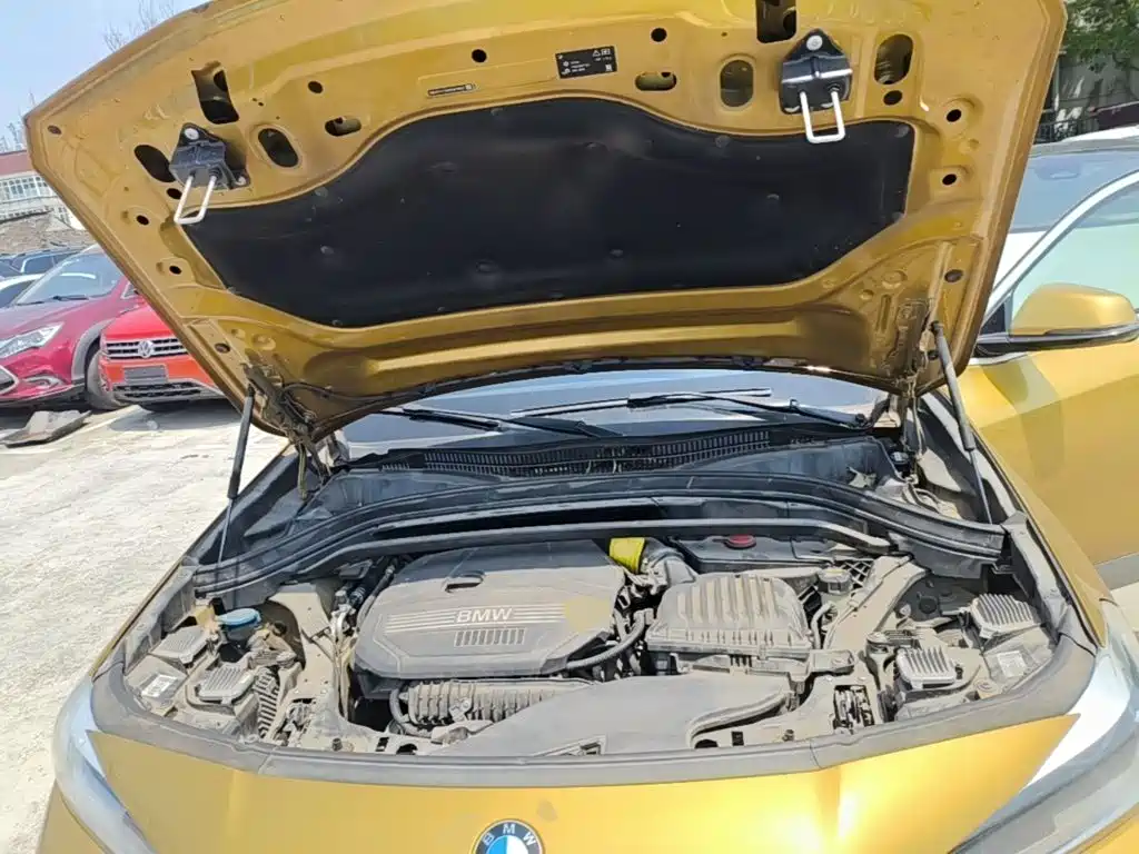 BMW X2 (Import) 2019 2019 sDrive20i M Off-Road Package China VI