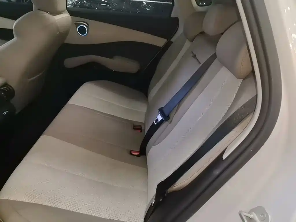 BYD Yuan PLUS 2025 2025 Smart Drive 510KM Surpass Edition