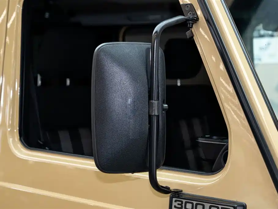 Mercedes-Benz G-Class 2017 Model G 350 d фото 27