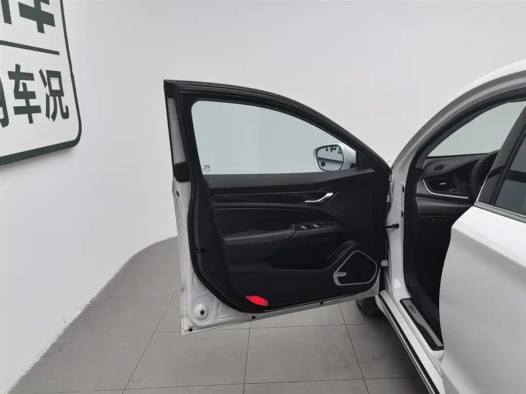 GEELY AUTOMOBILE BORUI