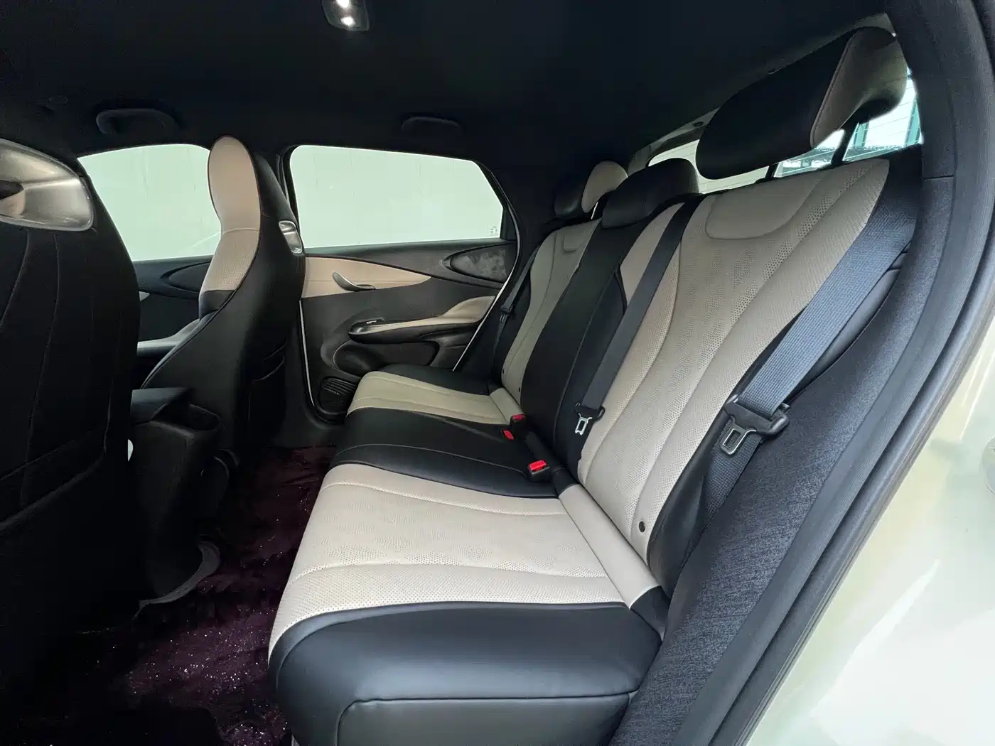 BYD Dolphin 2026 2025 420km Vitality Edition