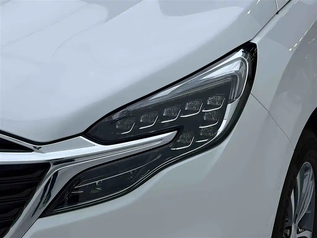 Buick GL8 2022 ES Landmark 653T Premium фото 7