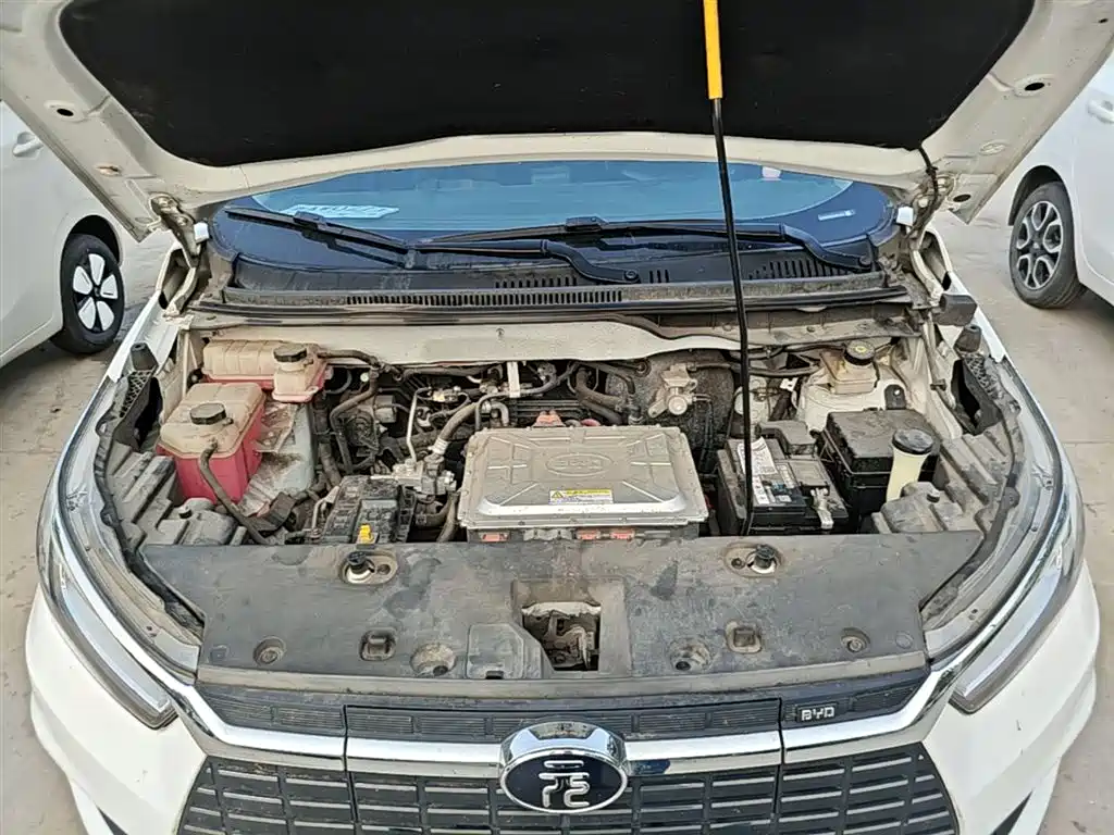 BYD Yuan New Energy 2019 EV535 Smart Connected Trend Leader Type фото 20