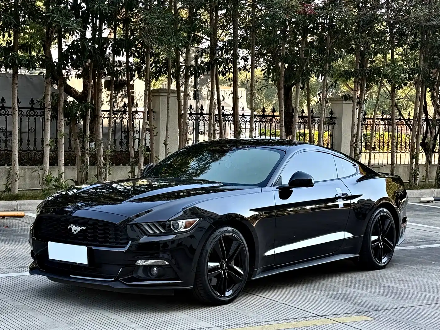 Ford Mustang 2017 2.3T Performance Edition фото 2