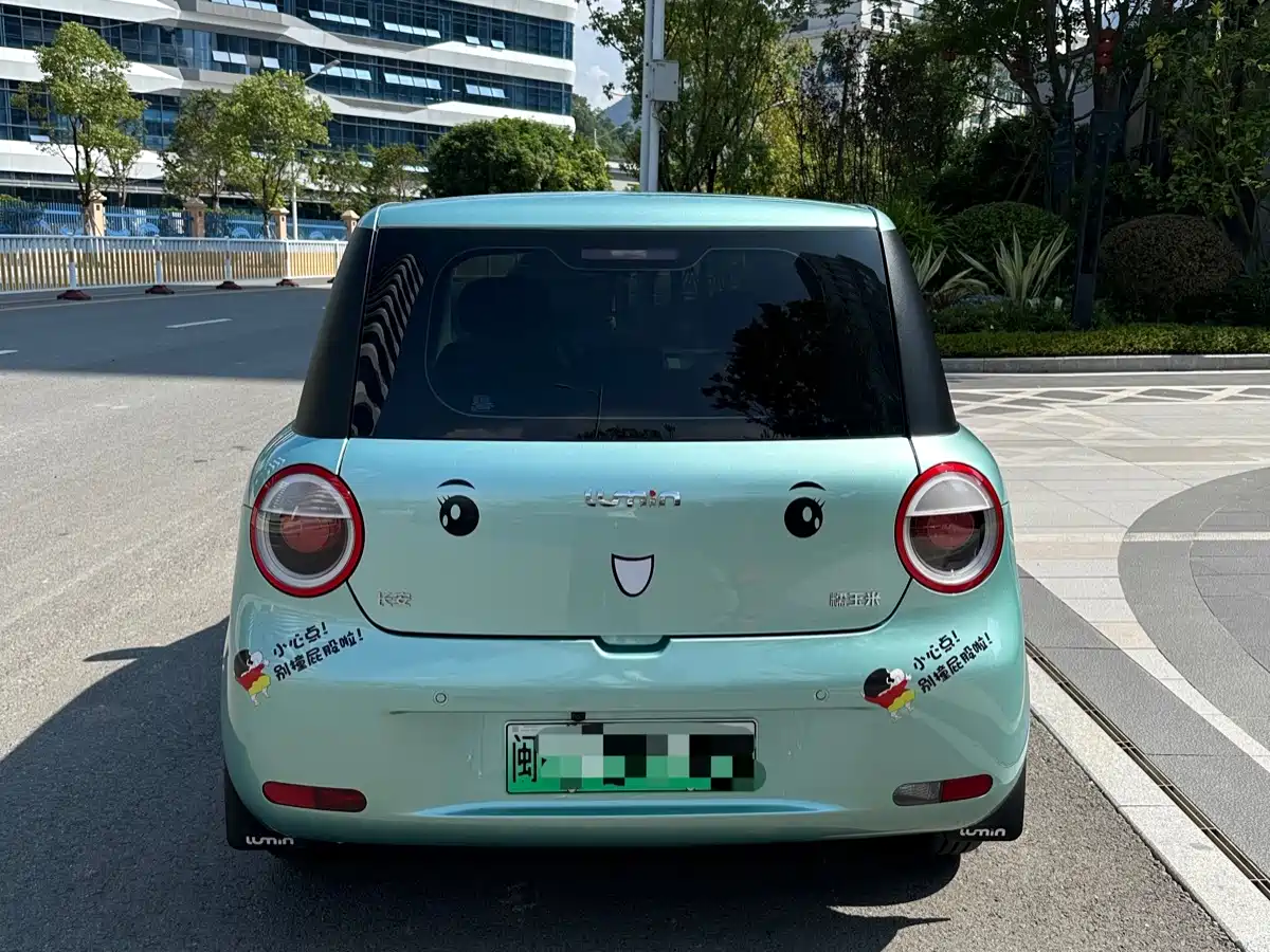 Changan Benben E-Star 2023 2022 Serenity Edition Colorful LFP