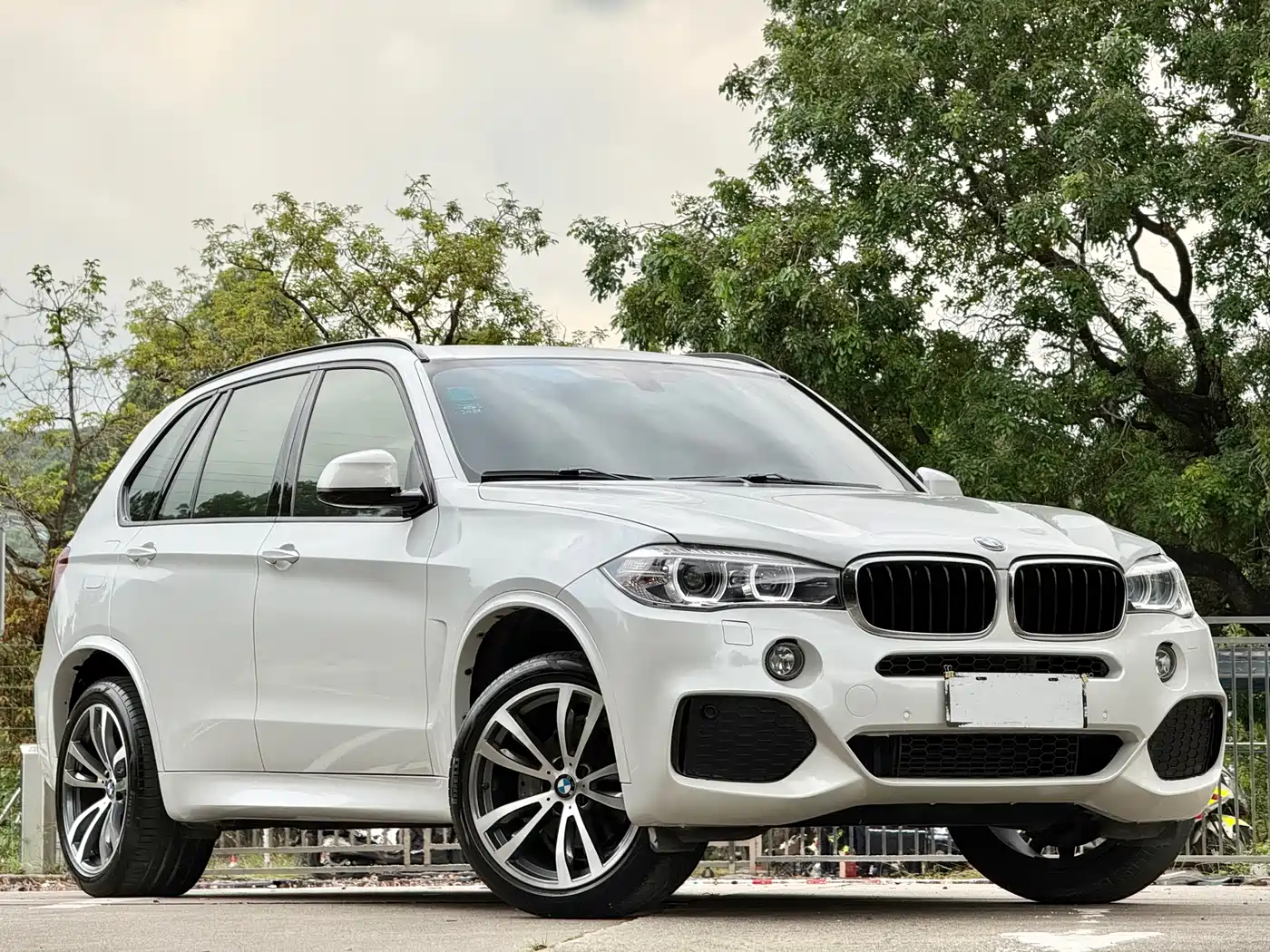 BMW X5 (Import) 2017 xDrive35i M Sport фото 3