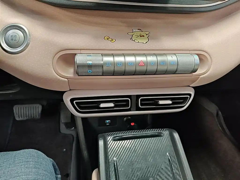 BYD Seagull 2023 Freedom Edition фото 14