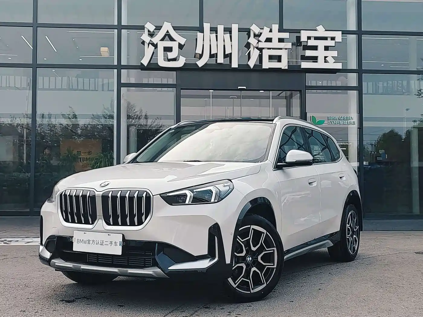 BMW X1