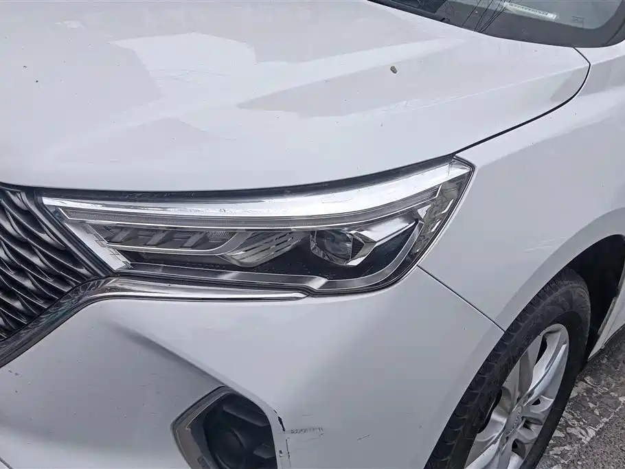 HAVAL M6