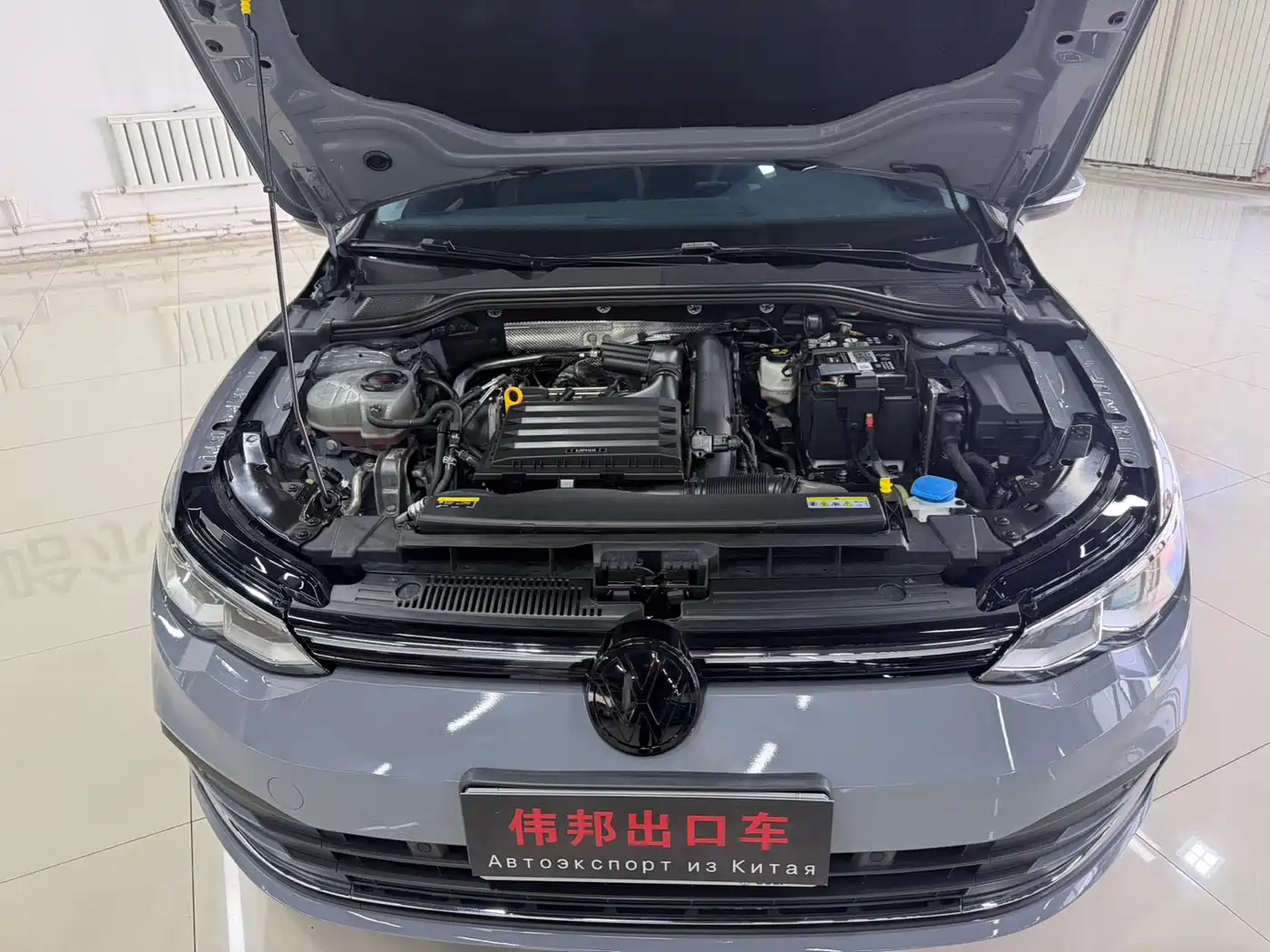 Volkswagen Golf 2021 280TSI DSG 30th Anniversary Edition фото 22