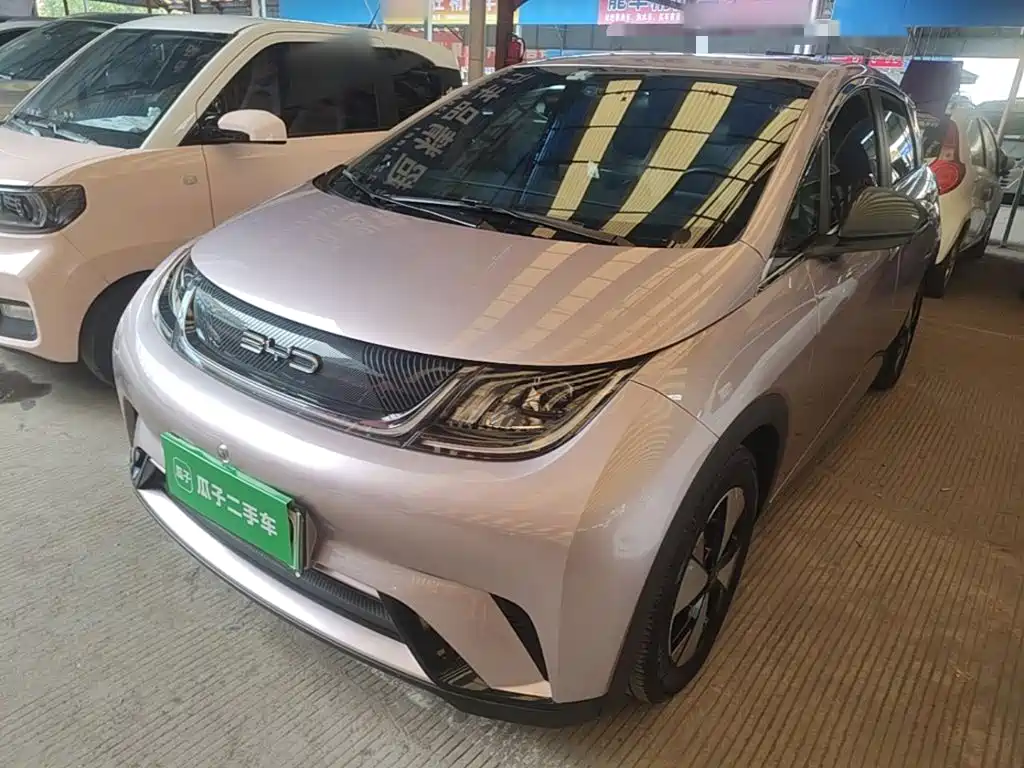 BYD Dolphin 2023 420km Freedom Edition
