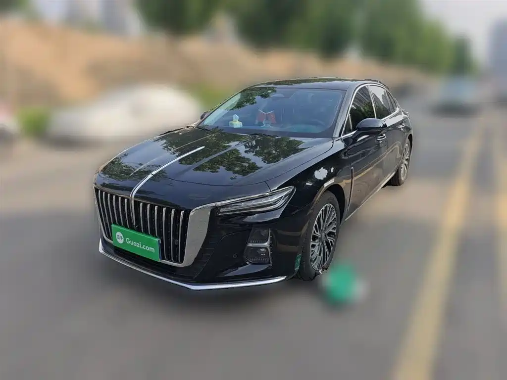 Hongqi H5 2024 2.0T Automatic Smart Connect Flag Smooth Edition фото 2