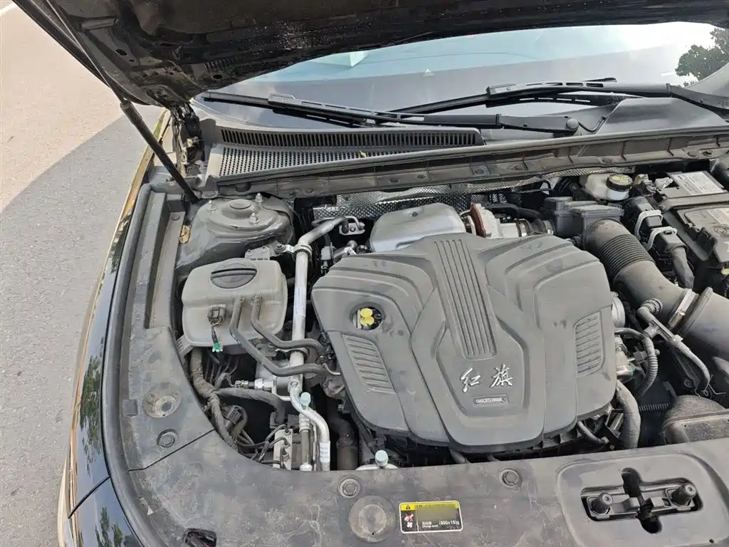 Hongqi H5 2024 2.0T Automatic Smart Connect Flag Smooth Edition фото 23