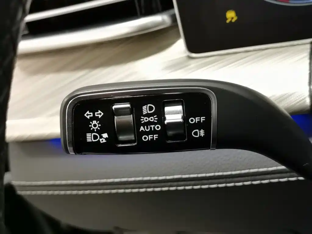 Photo 21 - Hongqi H9