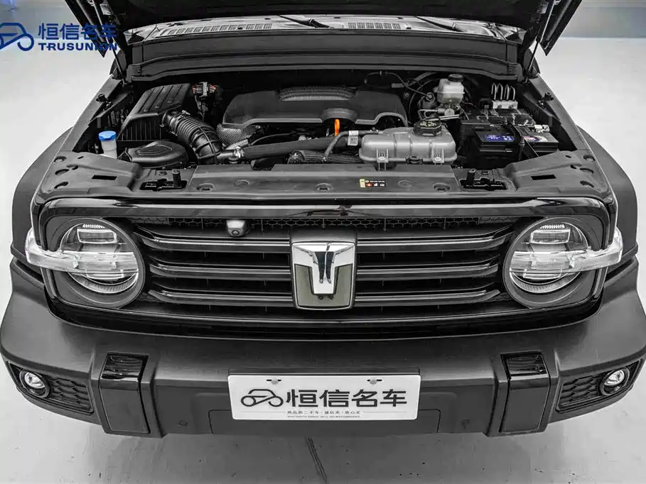 Tank 300 2024 Model 2.0T Challenger фото 20