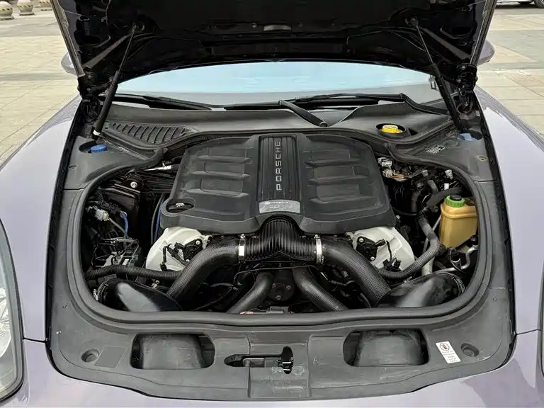 Porsche Panamera 2014 Panamera 3.0T фото 20