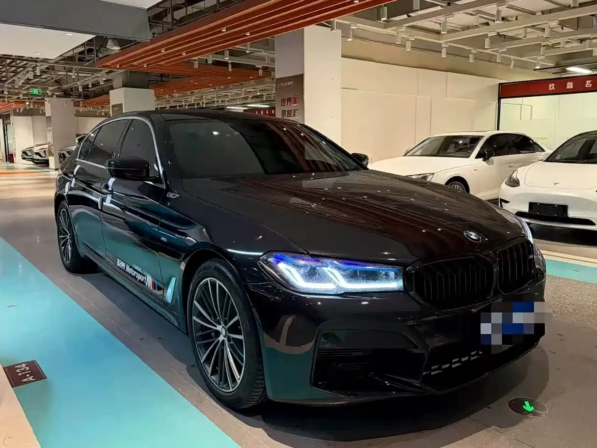 BMW 5 Series 2018 Facelift 530Li Leading Luxury Package фото 3