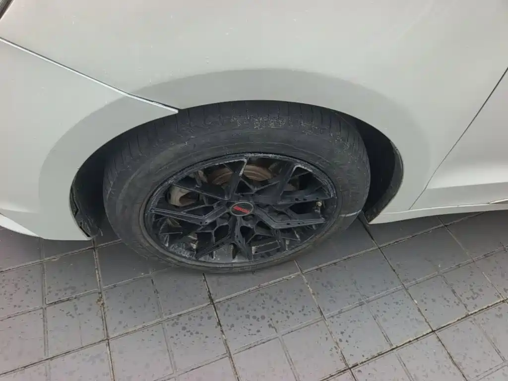 Photo 23 - Geely Borui