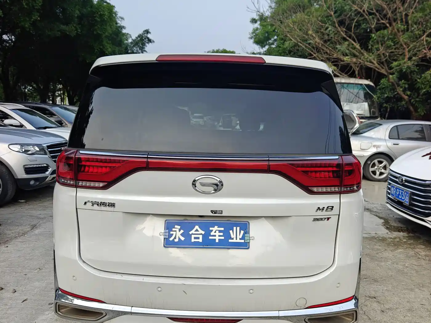 GAC Trumpchi Trumpchi M8 2023 Leading Series 390T Premium Edition фото 5