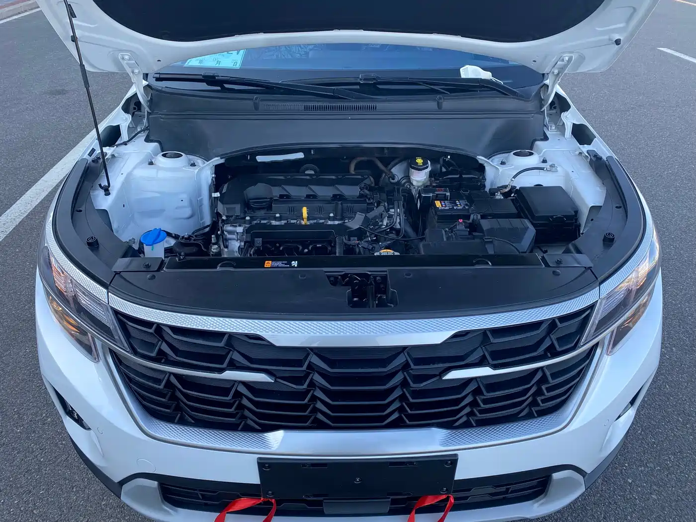 Kia Seltos 2023 1.5L CVT Comfort Edition фото 18