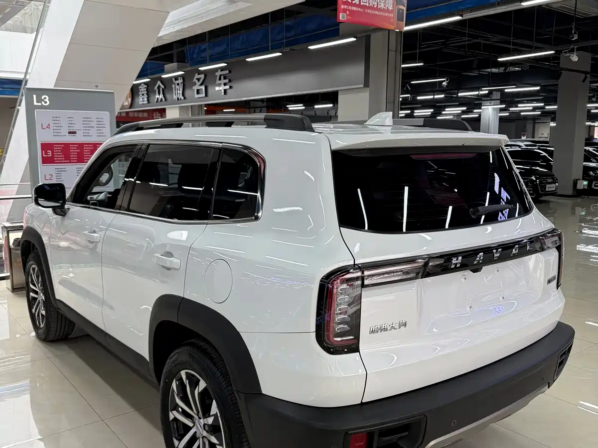 HAVAL BIG DOG