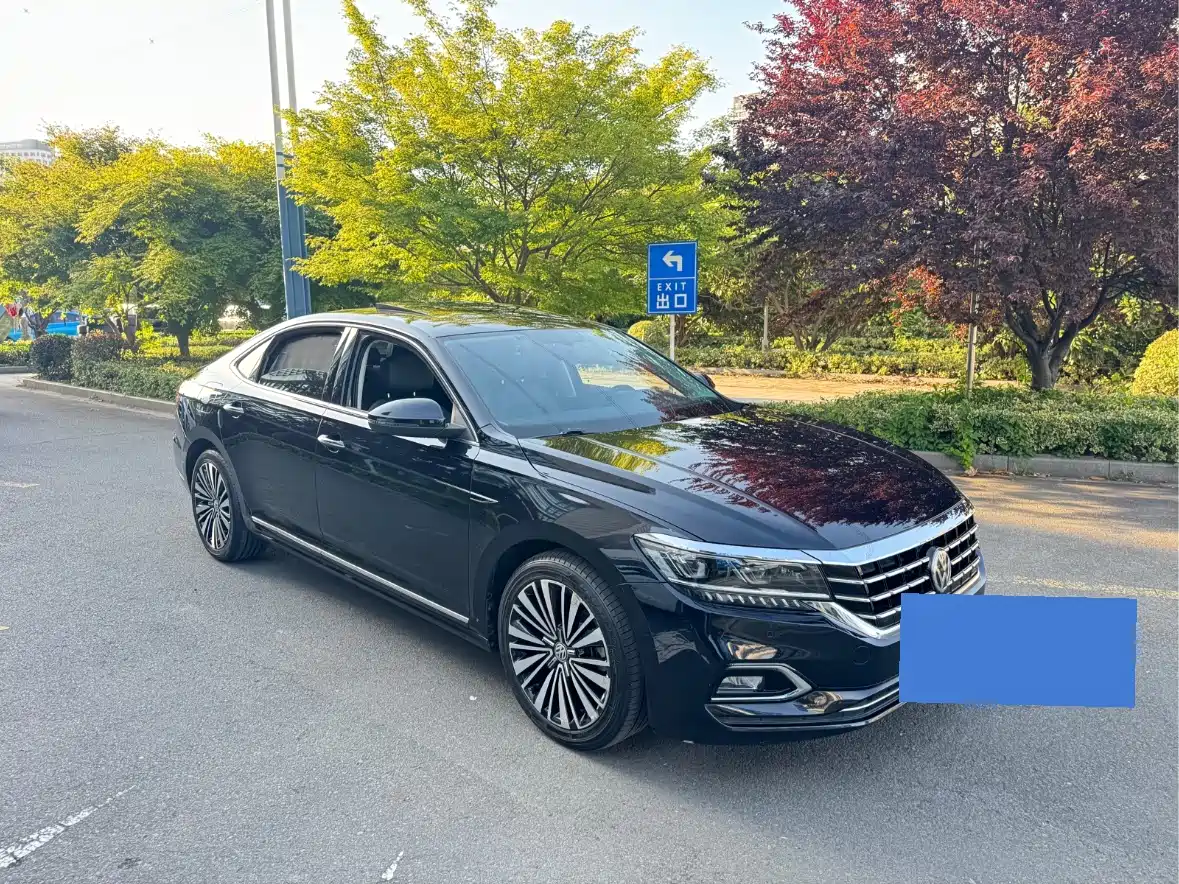 Volkswagen Passat 2020 330TSI Luxury Edition China V фото 3