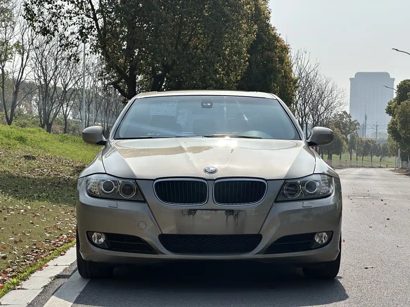 BMW 3 Series (Import) 2012 318i Leading фото 2