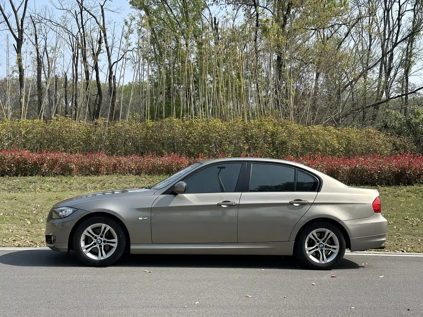 BMW 3 Series (Import) 2012 318i Leading фото 3