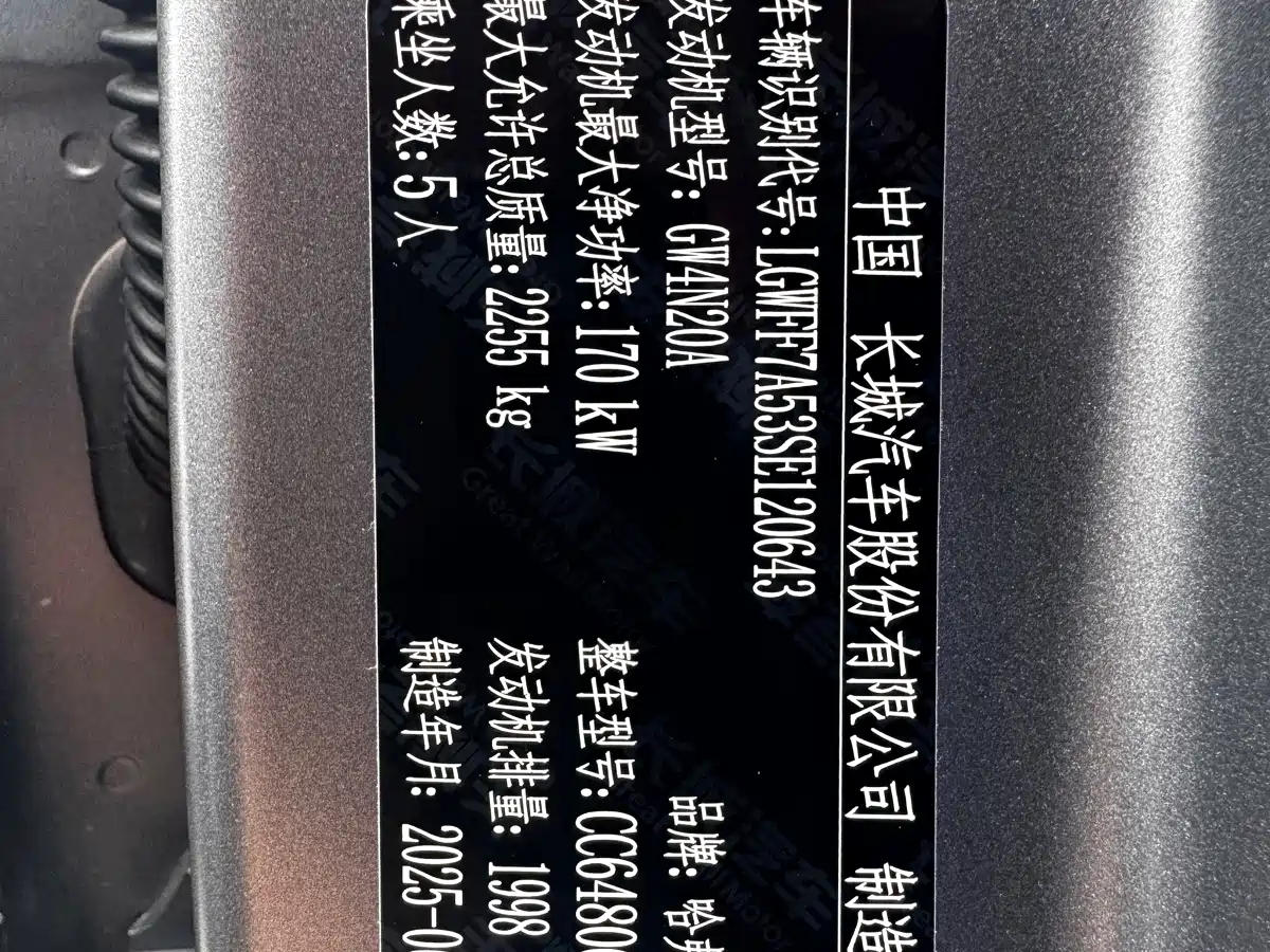Haval Menglong 2025 2025 2.0T 4WD Pro