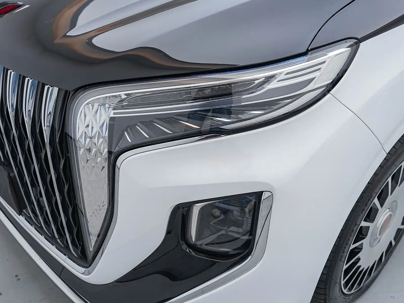 Фото 20 - Hongqi HQ9