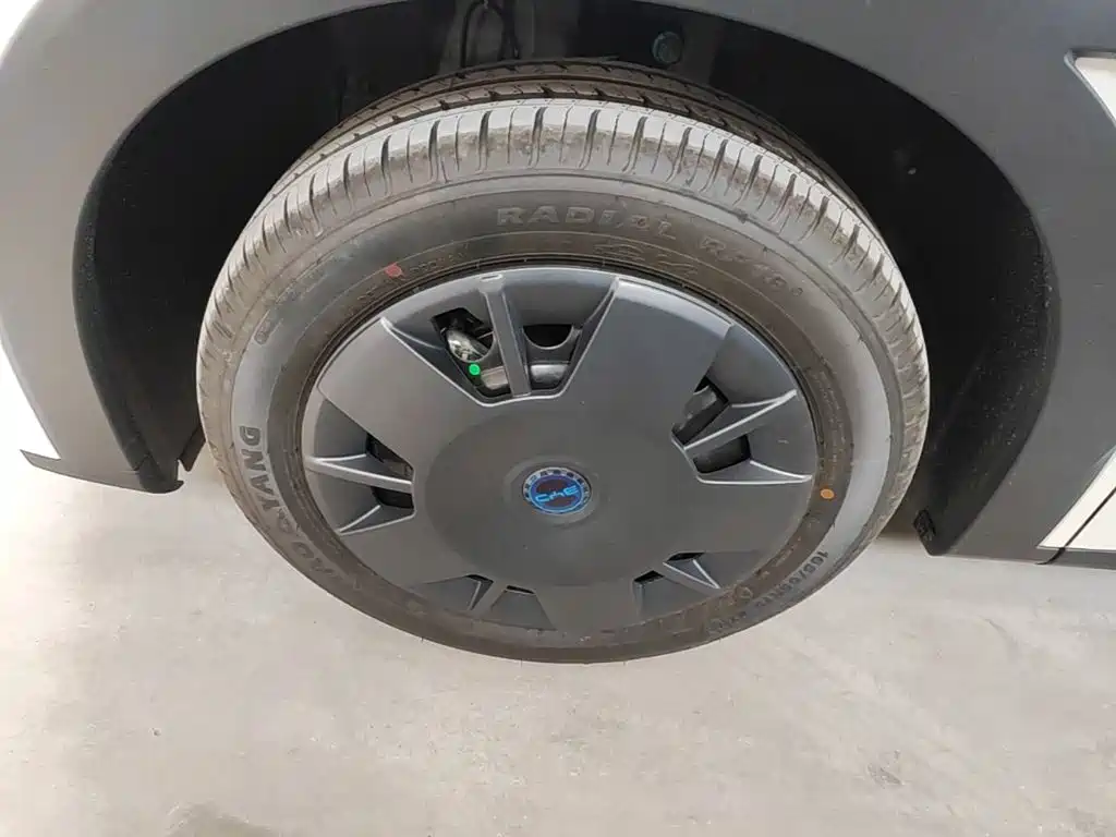 BYD Seagull 2026 2025 Smart Drive Edition 305km Vitality Version